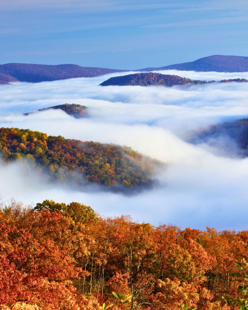 Inverted clouds floating over the rolling hills of Shenandoah National Park, framed by the vibrant fall foliage of orange, red, and yellow leaves.