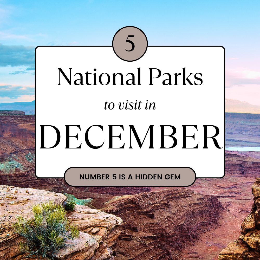 5 National Parks to Visit in December, featuring a stunning view of Canyonlands National Park with its iconic rock formations and vast, rugged landscape.