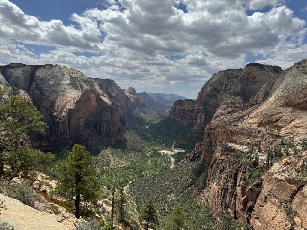 Scenic view from the top of Angels Landing in Zion National Park, offering breathtaking views of red rock cliffs and canyons during the 2025 National Park Free Entrance Days.