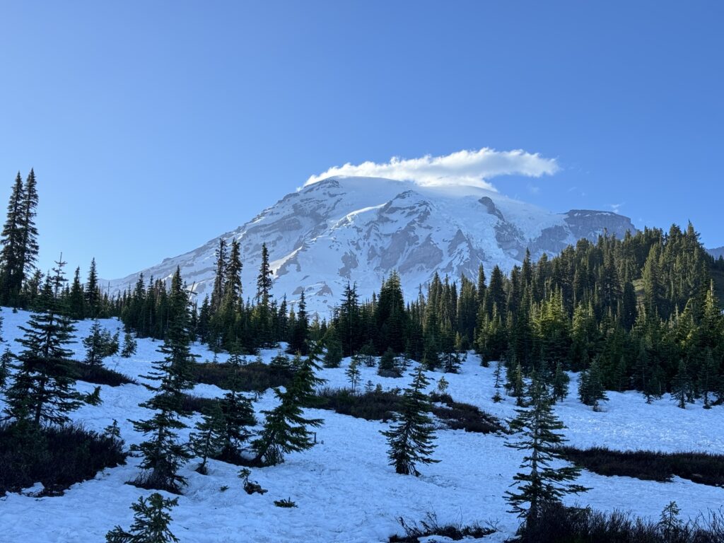 Scenic view of Mount Rainier along the Paradise Corridor, one of the most breathtaking national park scenic drives.