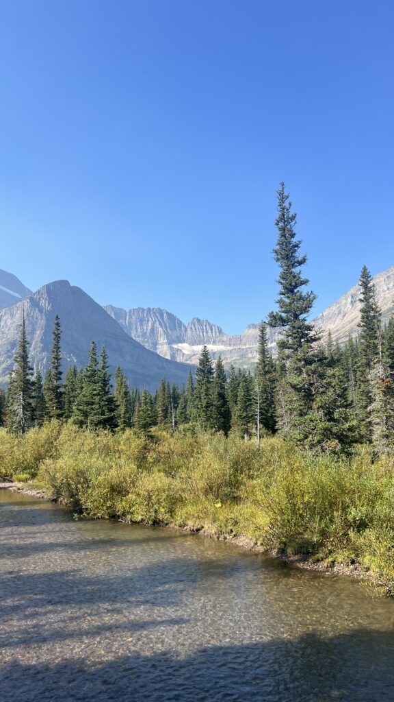 Scenic view of Many Glacier Valley in Glacier National Park, showcasing rugged peaks and lush greenery during the 2025 season.