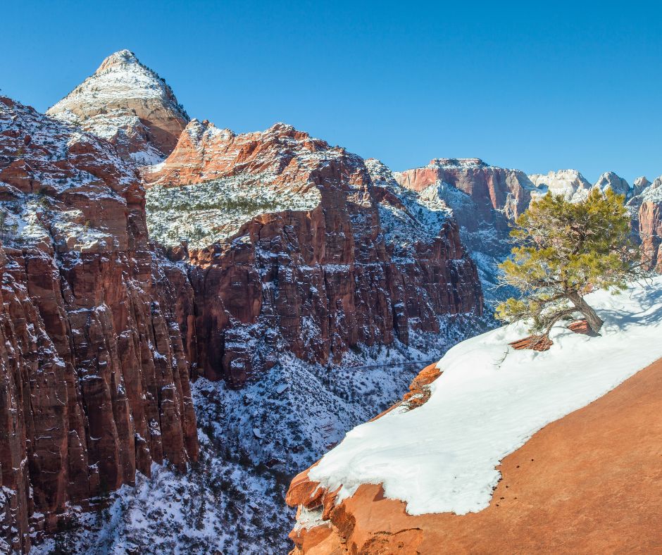 Snow-covered landscape of Zion National Park, showcasing the stunning beauty of National Parks in Winter.