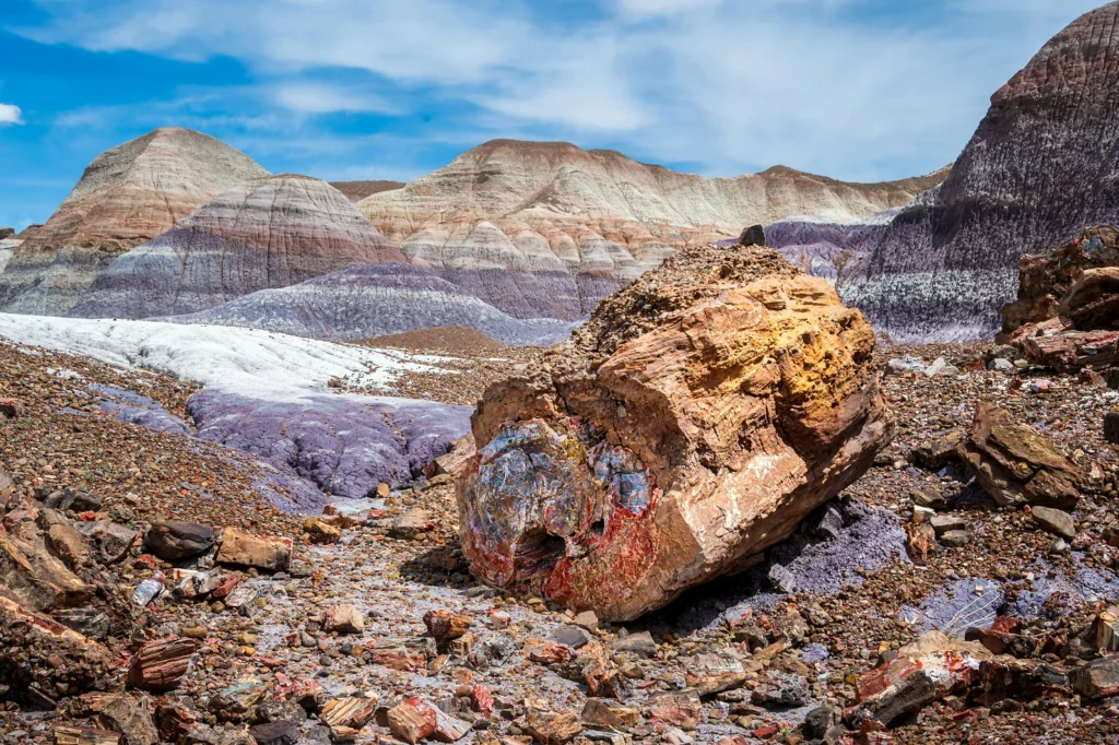 Vibrant desert landscape at Petrified Forest National Park, featuring colorful badlands, ancient petrified wood, and expansive views under a clear blue sky.