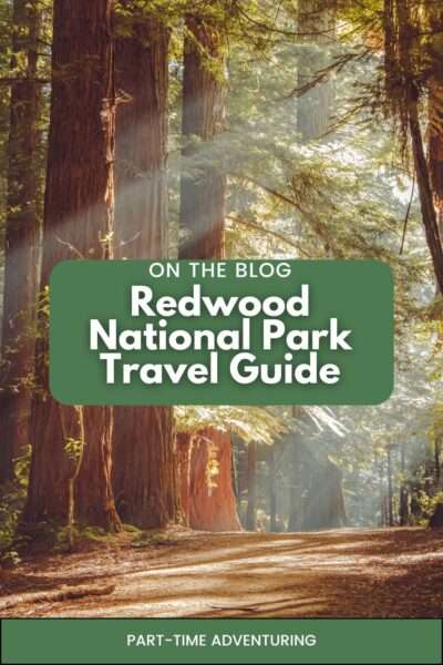 The Ultimate Redwood National Park Guide: Hikes, Views & More