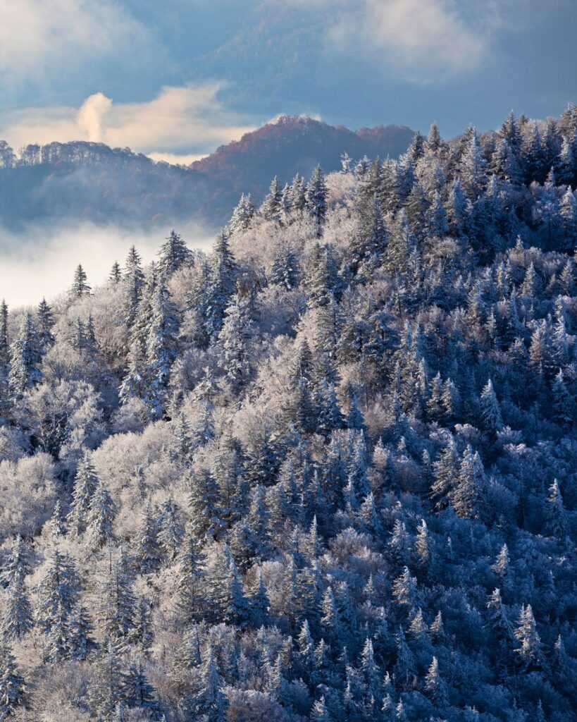 Scenic view of the Great Smoky Mountains covered in mist, highlighting why it’s one of the best time to visit US National Parks destinations.