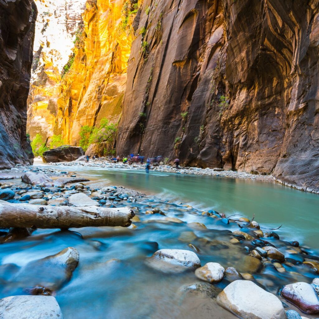 Hiking in The Narrows at Zion National Park, showcasing towering red canyon walls and hikers wading through the Virgin River, a must-see feature in this Zion National Park travel guide.