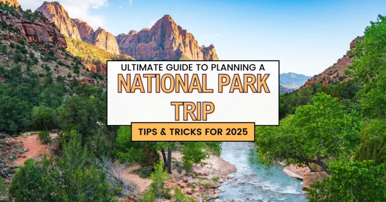 Copy Of Road Trip Floridas National Parks Facebook Post 768x403