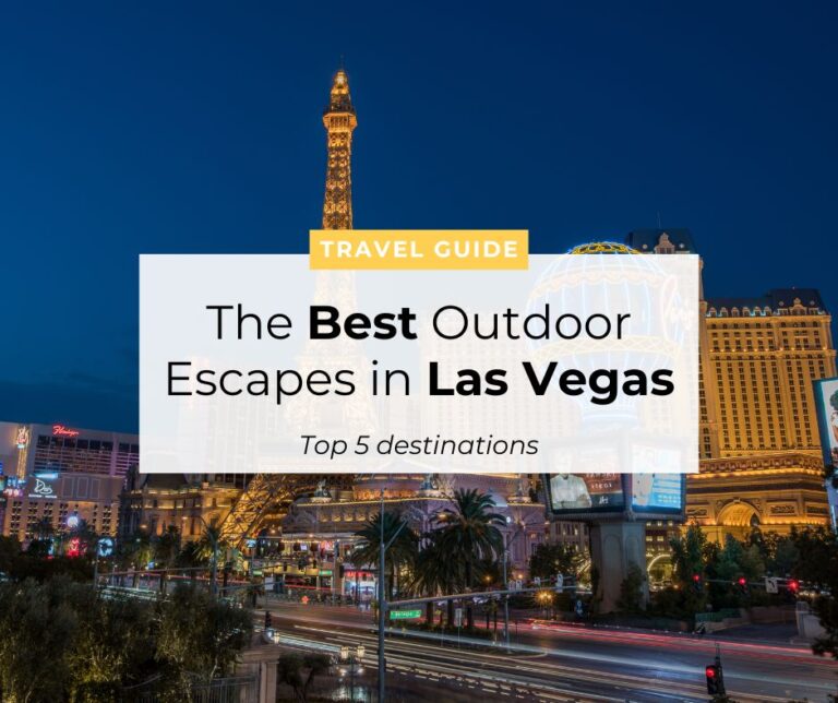 Travel Guide 768x644