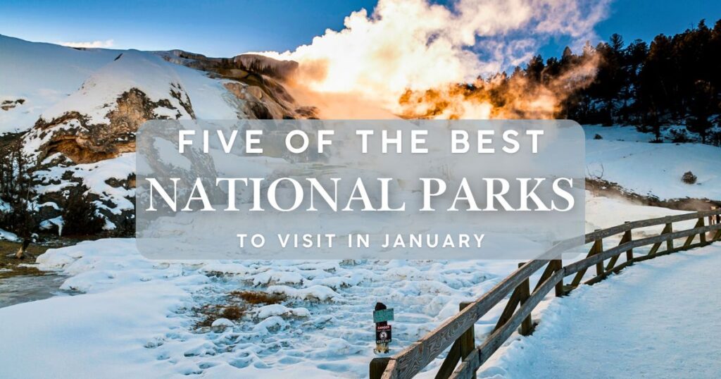 Untitled Facebook Post 4 1024x538