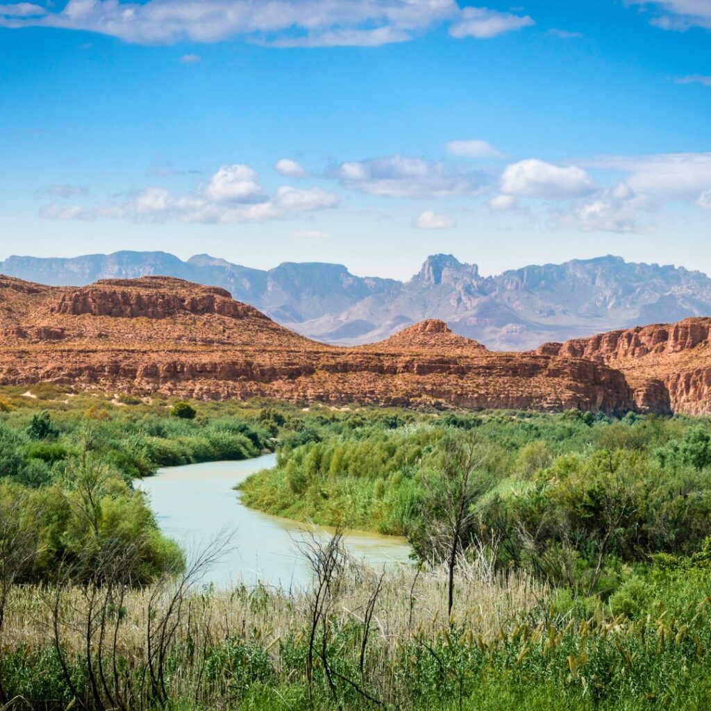 A panoramic view of Big Bend National Park showcasing the expansive desert landscape with the rugged Chisos Mountains in the distance under a clear blue sky. Perfect for stargazing in one of the darkest skies in the U.S.