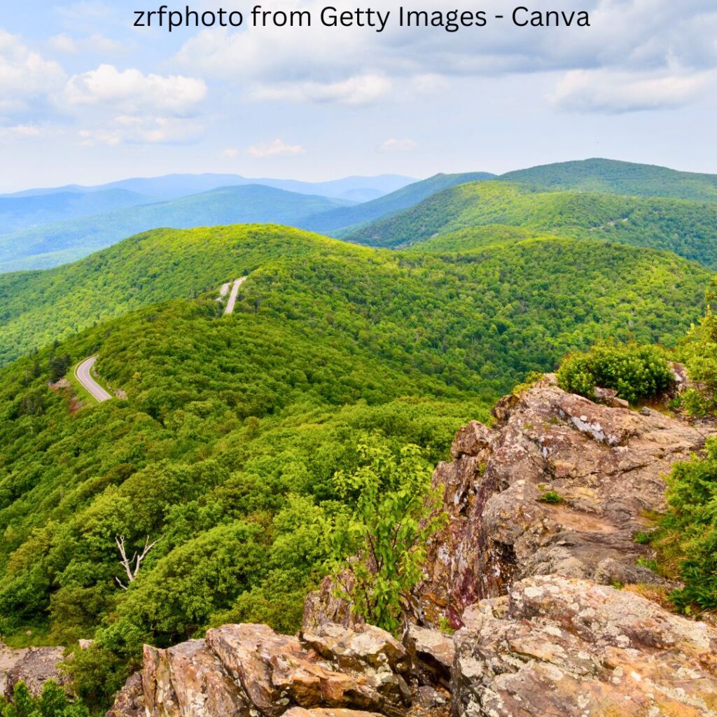 Unlock the Beauty of Shenandoah National Park Panoramic view from a mountain peak in Shenandoah National Park, showcasing vibrant green foliage and rolling hills.