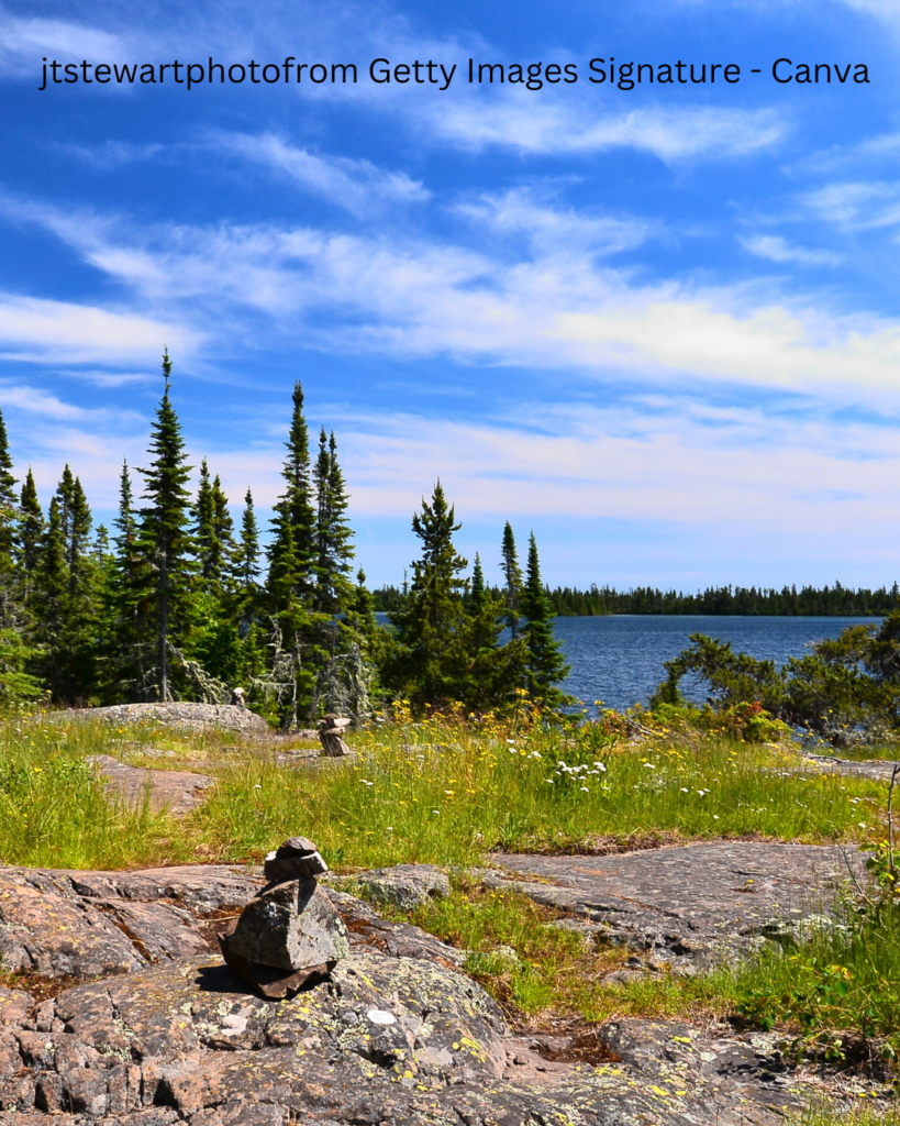 A well-trodden dirt and rock hiking trail winding through lush green forests, surrounded by towering trees and vibrant undergrowth.