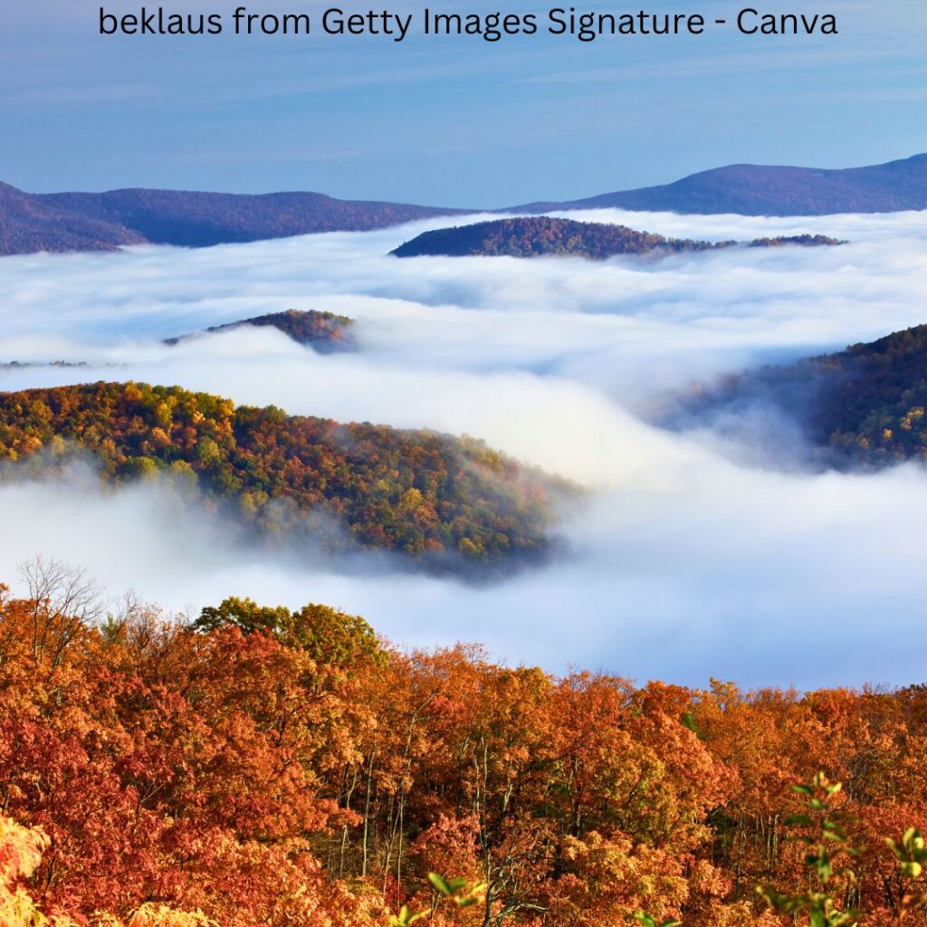 Unlock the Beauty of Shenandoah National Park Breathtaking fall foliage in Shenandoah National Park, featuring vibrant orange, yellow, and red leaves with a rare inverted cloud reflecting in the valley below.