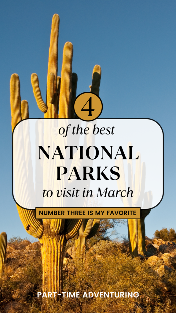 5 540 X 261 Px 6 576x1024