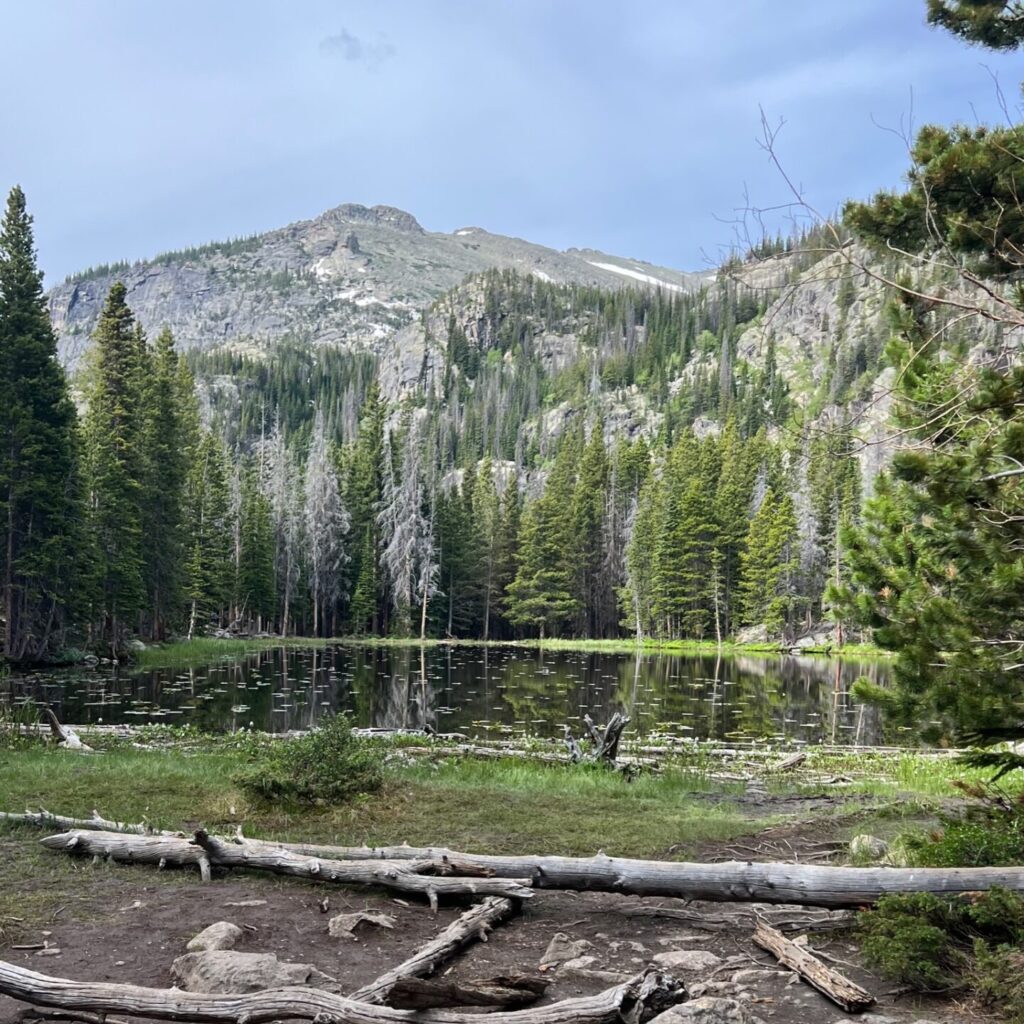 Rocky Mountain Scenic Landscape – A sweeping view of Rocky Mountain National Park, showcasing rugged peaks, dense evergreen forests, and a bright blue sky.