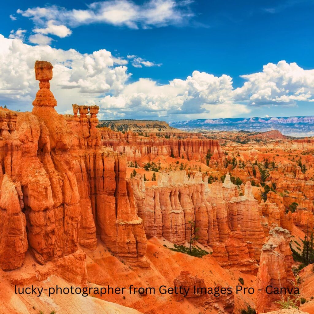 Towering hoodoos in Bryce Canyon National Park create a stunning landscape, making it a must-see destination on a Utah National Parks Road Trip.