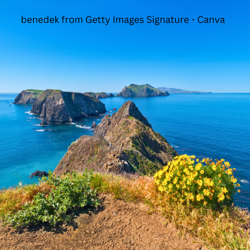 Scenic view along a hiking trail on one of the Channel Islands, showcasing rugged terrain and stunning coastal landscapes.