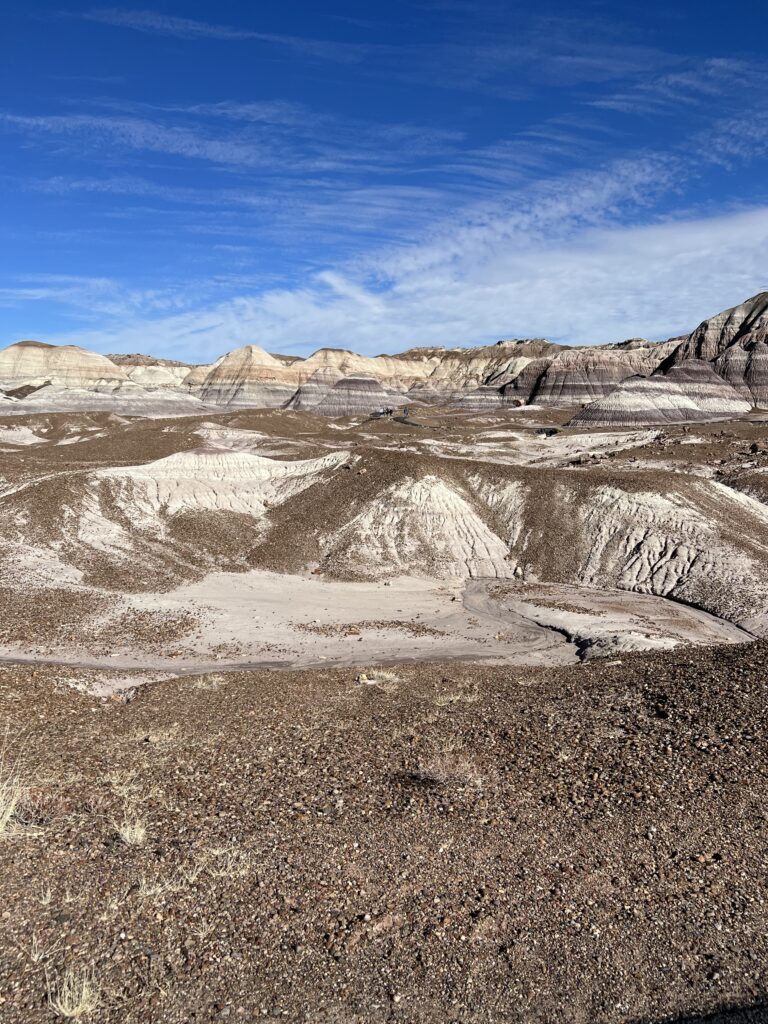 Petrified Forest National Park desert terrain with painted badlands.