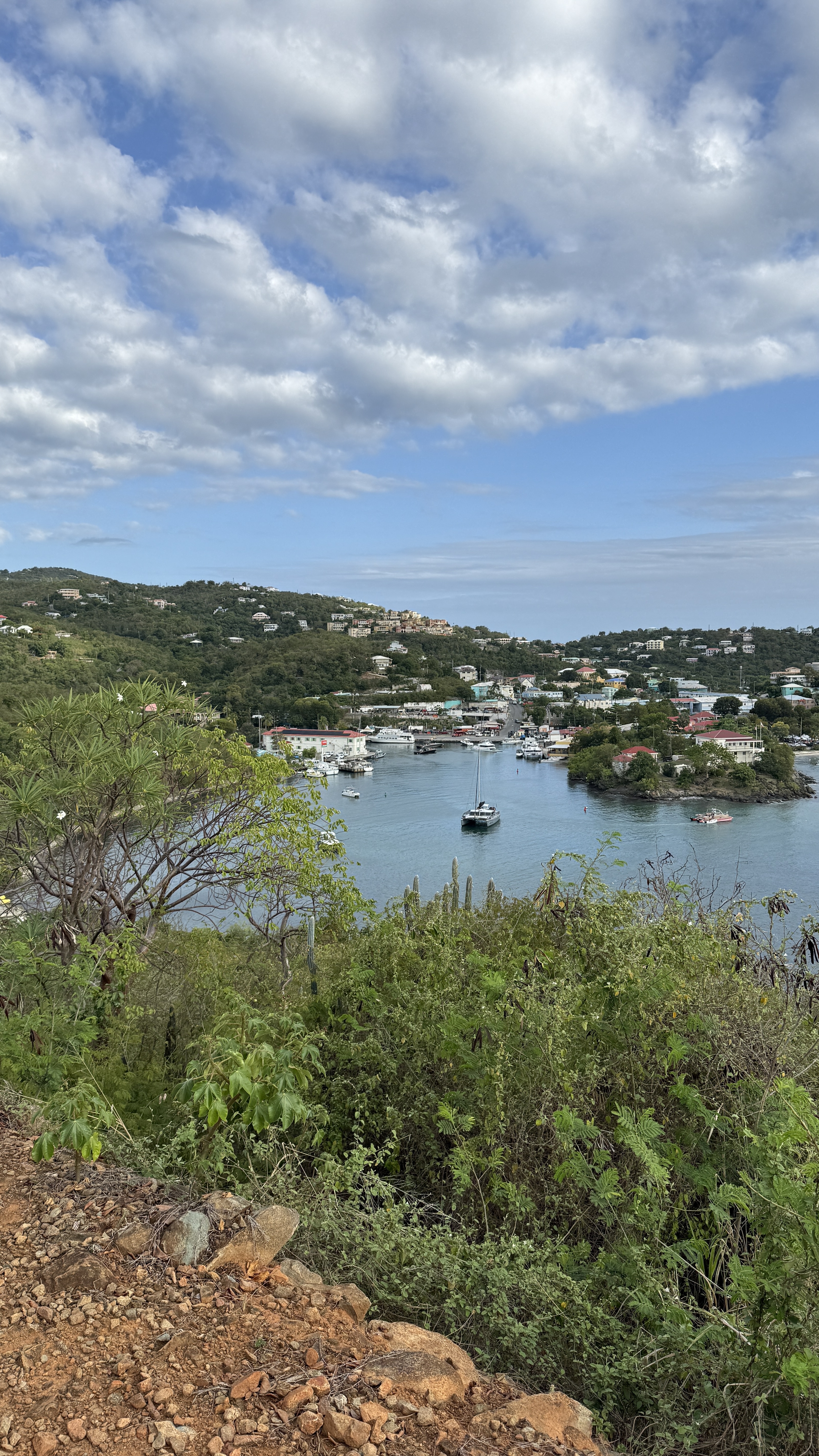 View from Lind Point Trail, a hike within Virgin Islands National Park