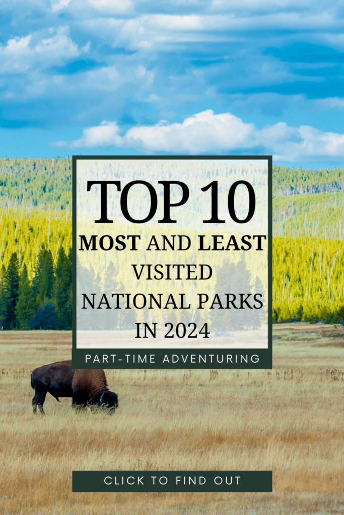 White Pink Organisation Tips Pinterest Pin 4 683x1024