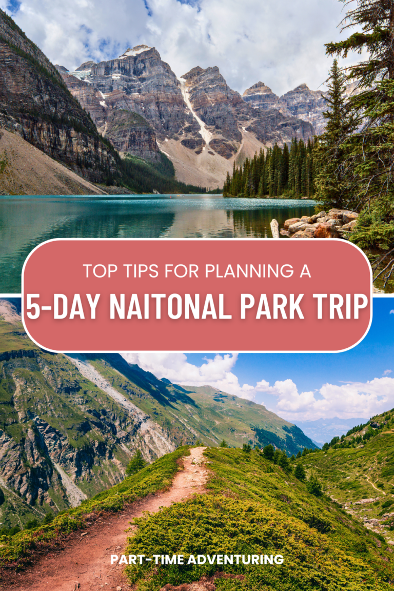 Coral And White Bold Budget Travel Tips Blog Post Pinterest Pin 768x1152