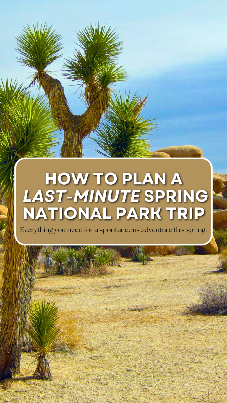 The Best National Parks To Visit In April 768x1365