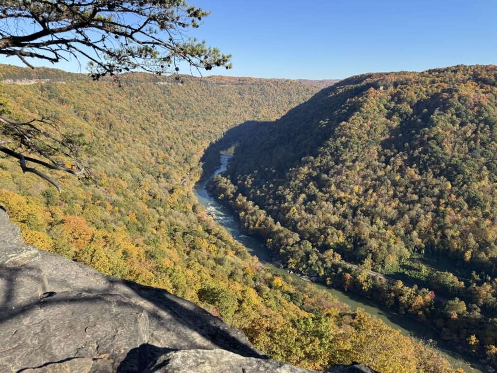 Viewpoint along Endless Wall in New River Gorge during the fall. 