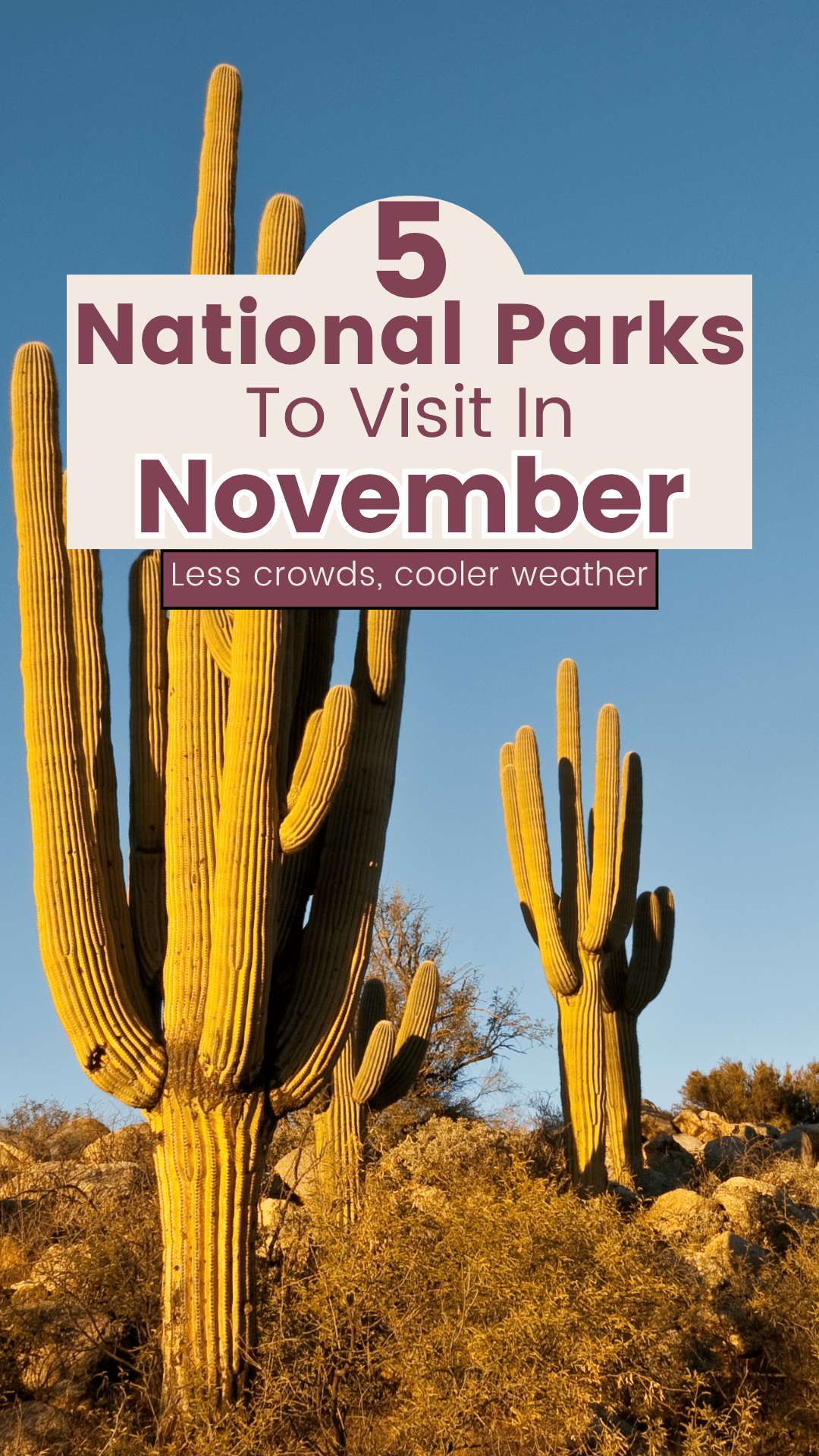 5 of the Best National Parks to Visit in November