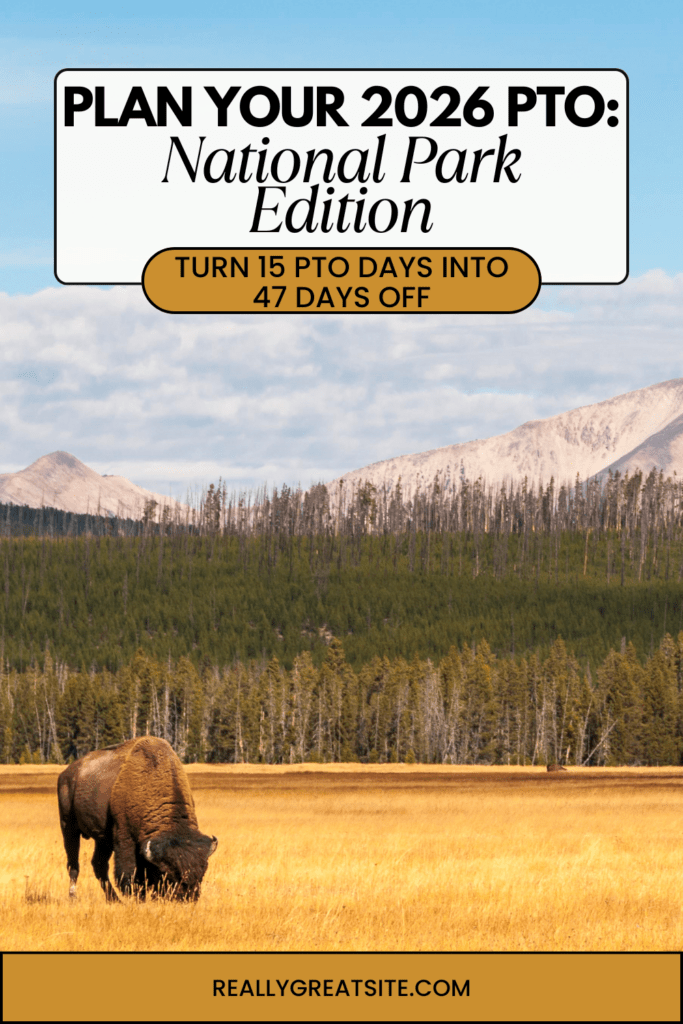 blue and white modern skincare beauty routine pinterest pin 3