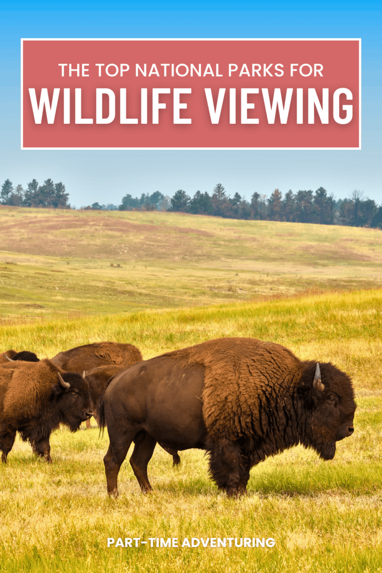 Top National Parks to See Wildlife in the United States coral and white bold budget travel tips blog post pinterest pin 3