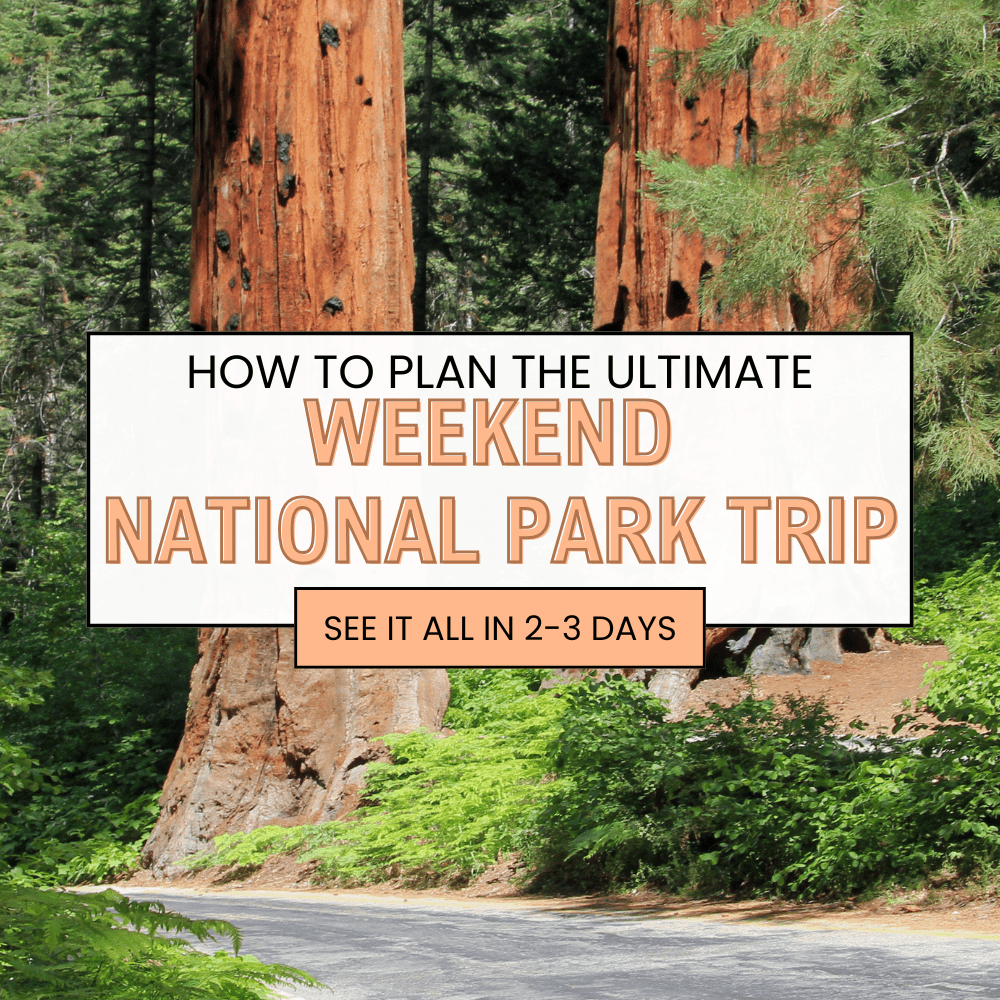 How To Plan The Ultimate Edited