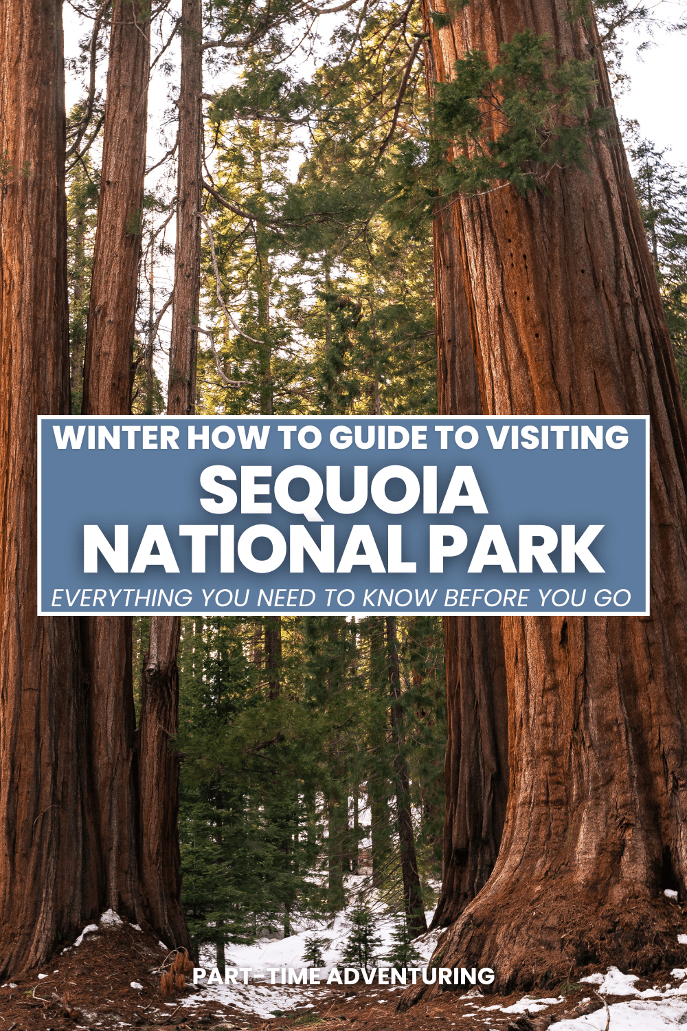 Visiting Sequoia National Park in Winter: Your Ultimate Guide
