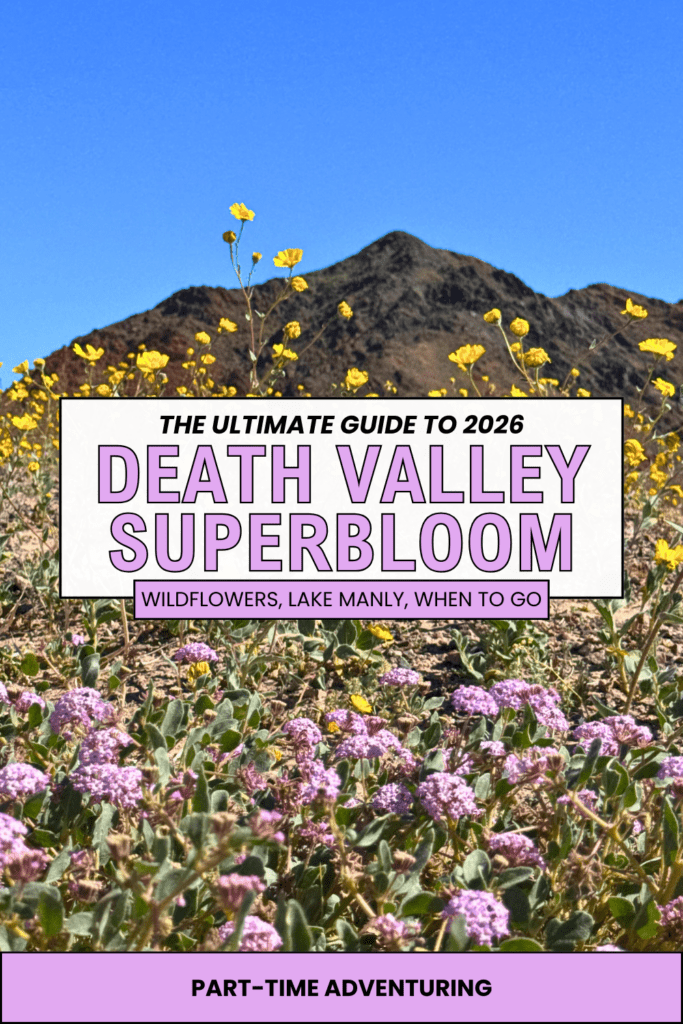 lilac and white feminine budget travel guide blog post pinterest pin 3