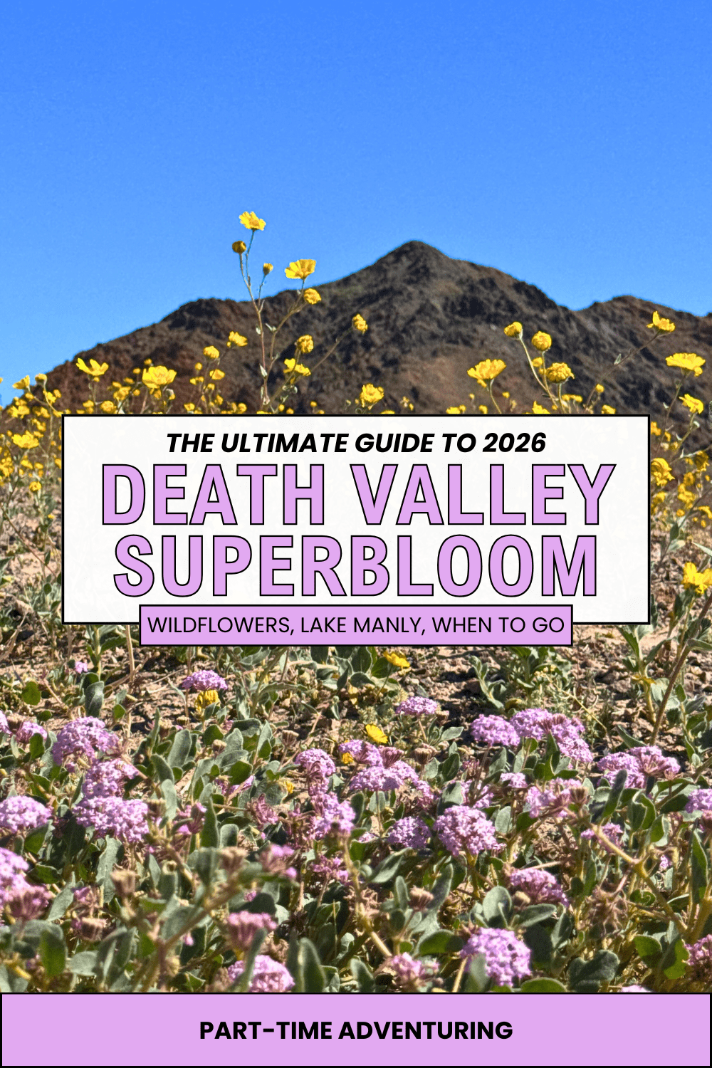 What you need to know about Death Valley Superbloom 2026