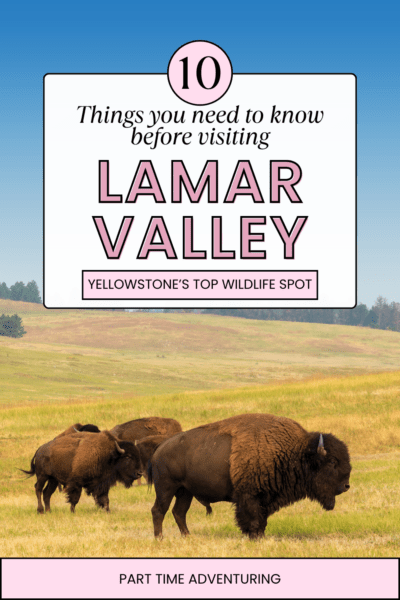 10 Things You Need to Know Before Visiting Lamar Valley